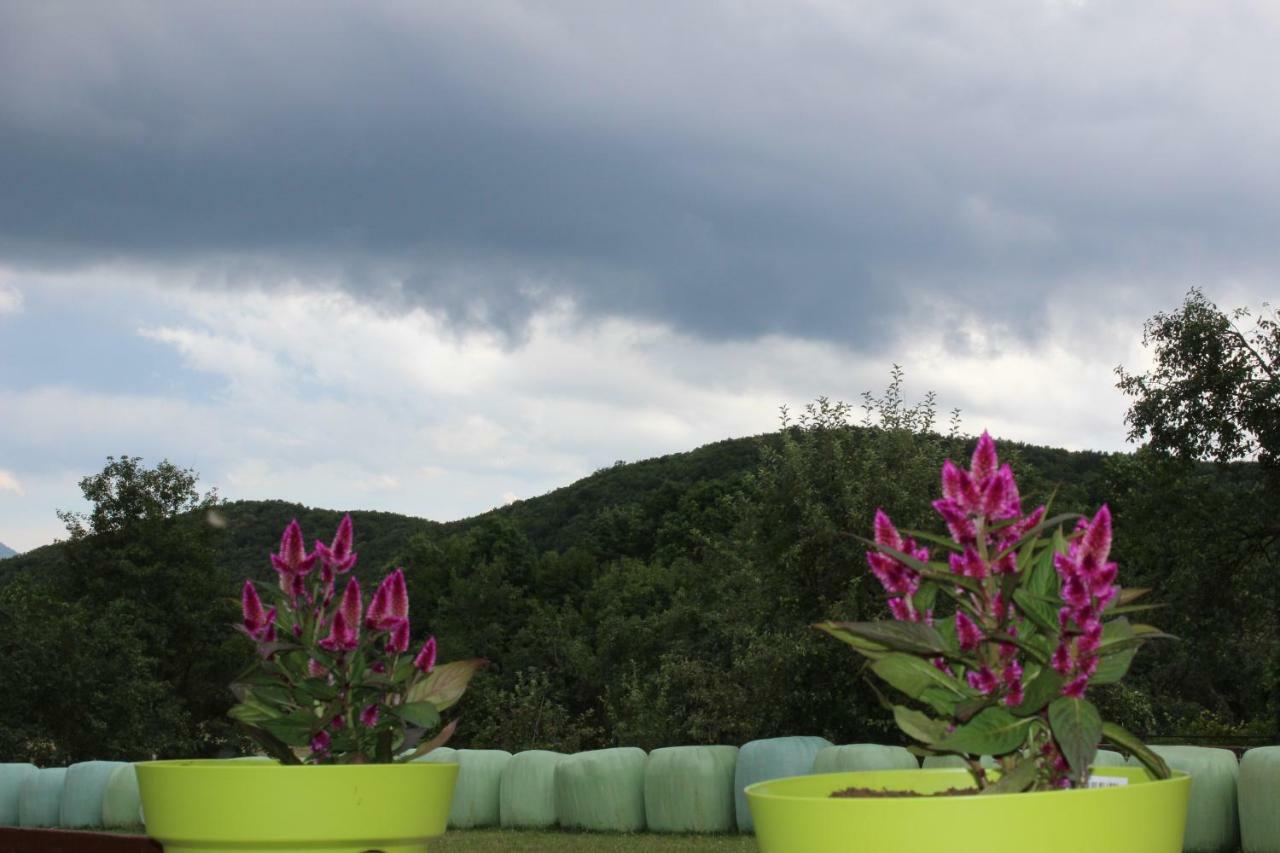 Apartman Lori Otočac Buitenkant foto